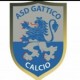 Gattico